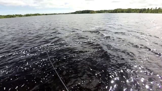 Savage Gear/Okoń Na Spinning/Black Savage Dropshot 5-18g.