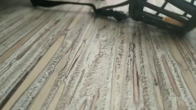 Приучение собаки к наморднику. По этапно. смотреть онлайн
