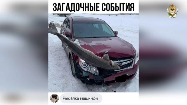 ФЭН-ШУЙ ПРОГНОЗ НА ЯНВАРЬ🐮 МЕСЯЦ ДЕРЕВЯННОГО БЫКА#1 смотреть онлайн