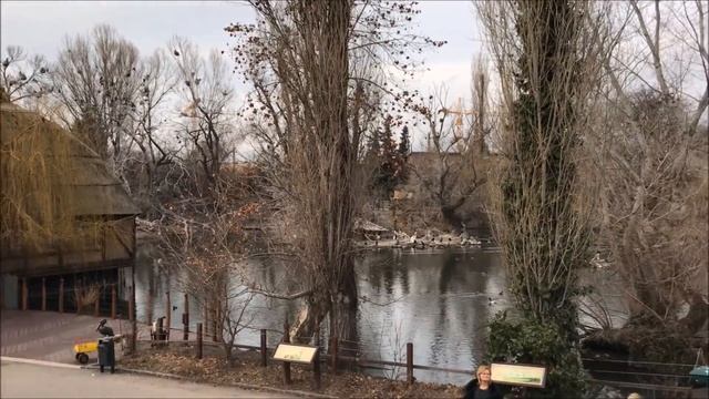 ALISHKA ПРОГУЛКА В ЗООПАРКЕ В БУДАПЕШТЕ С ДРУГОМ 2018 ВЕНГРИЯ смотреть онлайн