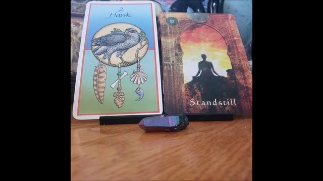 Leo Oracle Reading- Messages From Spirit смотреть онлайн