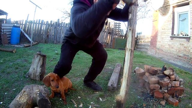 Как делается лук из одного куска древесины (1) смотреть онлайн