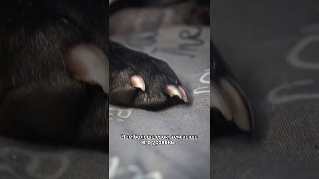 Мастерство и Креативность