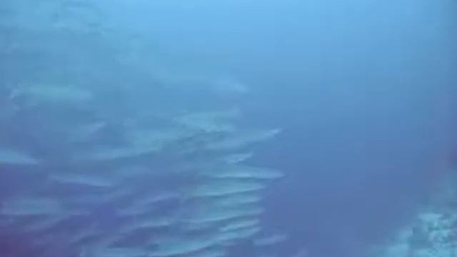 Ras Umm Sid смотреть онлайн