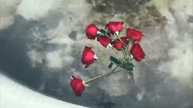 Анжела Варда🥀 смотреть онлайн