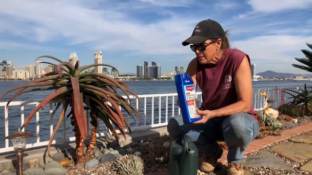 Quick Tip on Preventing Agave Snout Weevil and Aloe Mite смотреть онлайн