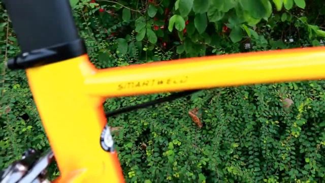 SPECIALIZED ALLEZ DSW SL SPRINT COMP 2017 смотреть онлайн