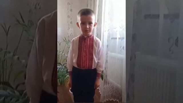 челендж віршів Шевченка