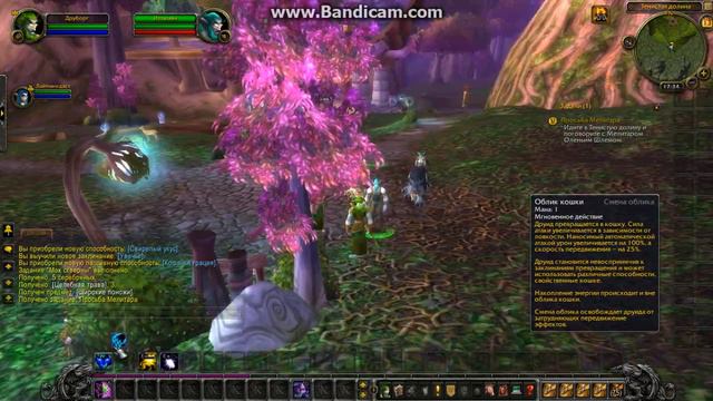 WoW КАЧАЛКА ДО 90 YEY смотреть онлайн