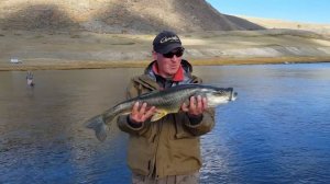 Монголия / Рыбалка на хариуса / Неужели это хариус? Шок от пойманной рыбы.