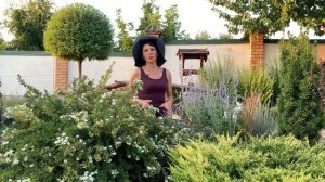 Можжевельник горизонтальный Лайм Глоу. Посадка, уход ,стрижка,  размножение.