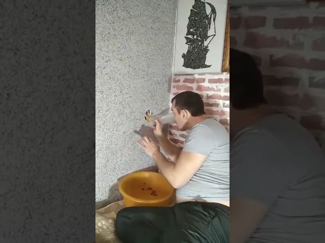 Жидкие обои.com