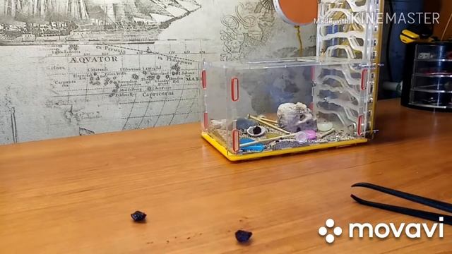 Можно ли заменить сахарный сироп ягодой смотреть онлайн