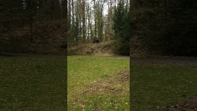 #Кассель Горный парк Вильгельмсхёэ #Германия #shorts