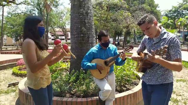 El diablo suelto (Cuatro venezolano, maracas y Bandola llanera) смотреть онлайн