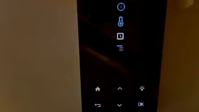 Пульт управления Tylo H1