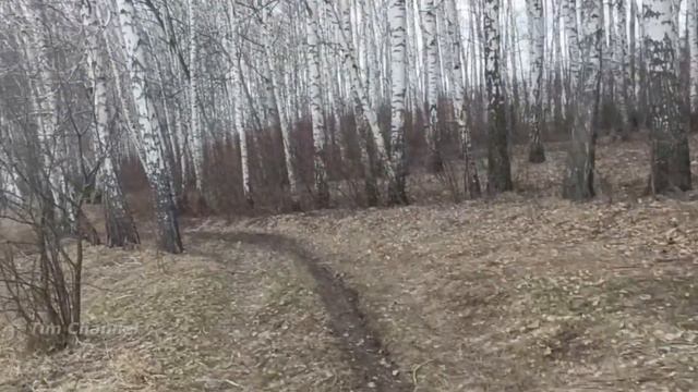 ХАРЬКОВ❗ЧТО ЗА ЛЮДИ ? ВАМ НЕ СТЫДНО ?😡 смотреть онлайн