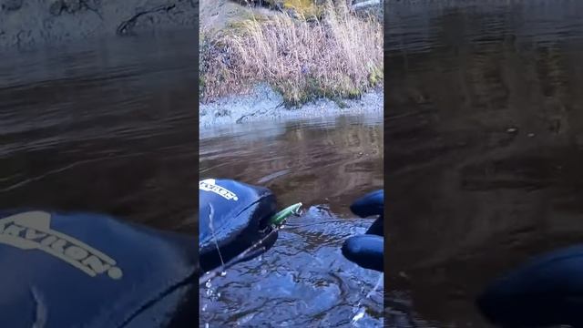 Воблер Рапала смотреть онлайн