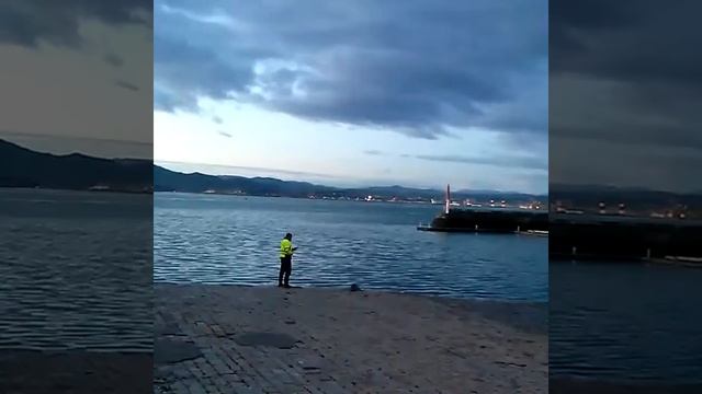 На пляже Кантабрии найден живой детеныш тюленя смотреть онлайн