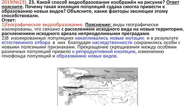 ЗАДАНИЯ ЕГЭ 2 ЧАСТИ ПО ВИДООБРАЗОВАНИЮ смотреть онлайн