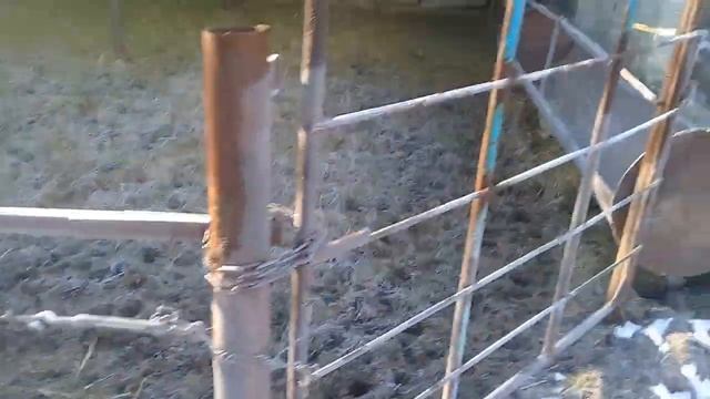 Небольшой обзор о содержании крс. смотреть онлайн