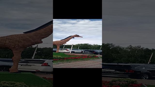 Кто хочет прокатиться на жирафе смотреть онлайн