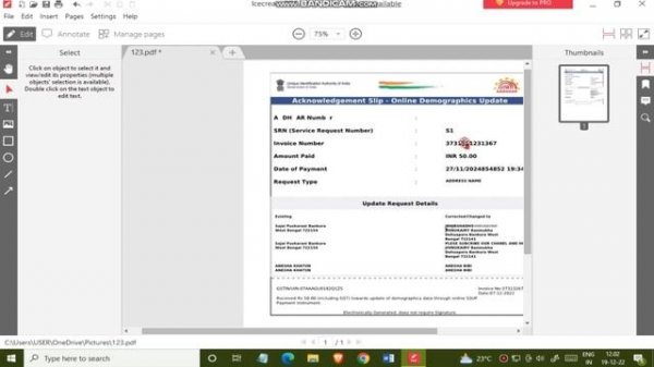 Free PDF Editor to Edit PDF Files, Ice cream PDF