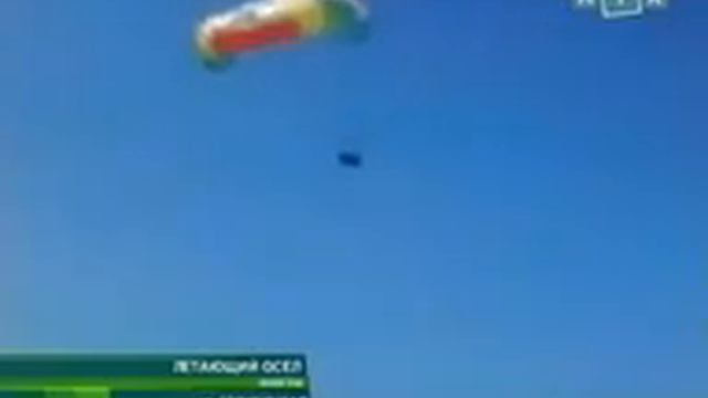 Летающий осел смотреть онлайн