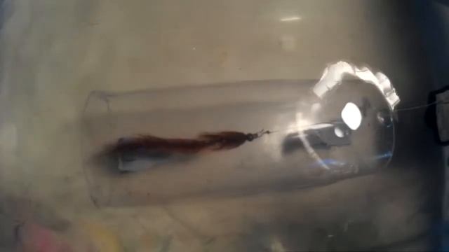 Ragworm Salt Water Fly.