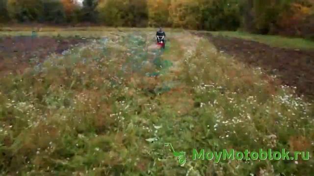 Мотоблоки Нева МБ Компакт смотреть онлайн