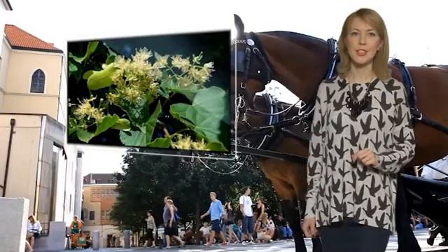 10 фактов о Праге смотреть онлайн