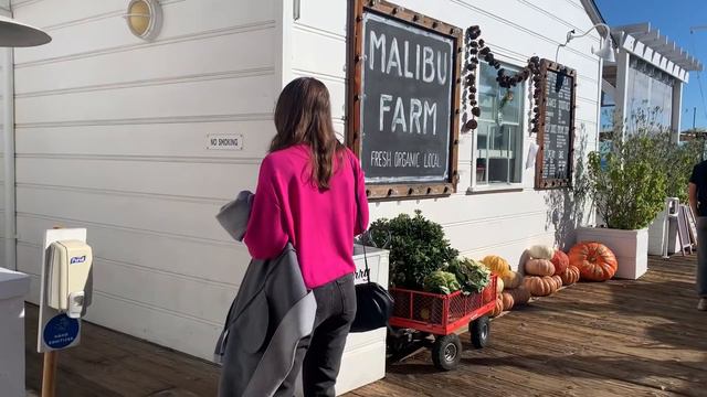 vlogmas 2021 | california adventures with the fam!! | Pressley Hosbach смотреть онлайн