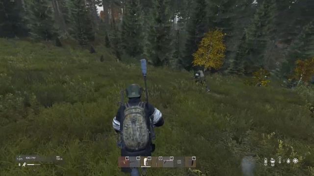 Легкая разминка перед вайпом - DayZ смотреть онлайн