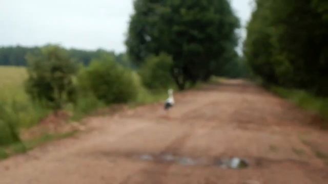 Где взять глину? смотреть онлайн