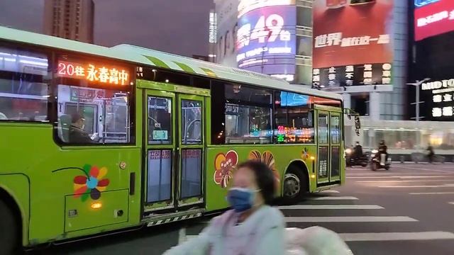 『大都會客運』大宇四期低地板公車 20路線 302-FY