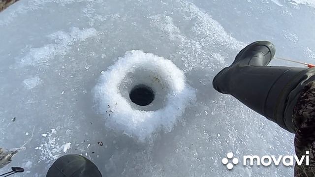 ХОРОШИЕ ЗАГИБЫ! ВЕСЕННИЙ КЛЁВ РЫБЫ ПО ТВЕРДОЙ ВОДЕ 23.03 2023г. смотреть онлайн