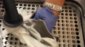 Химчистка обуви | Чистка кроссовок из замши