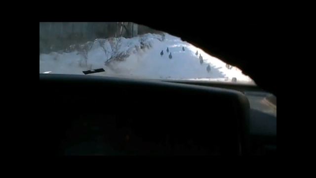 КУРОПАТКИ 11 ШТУК БЕССТРАШНЫЕ смотреть онлайн