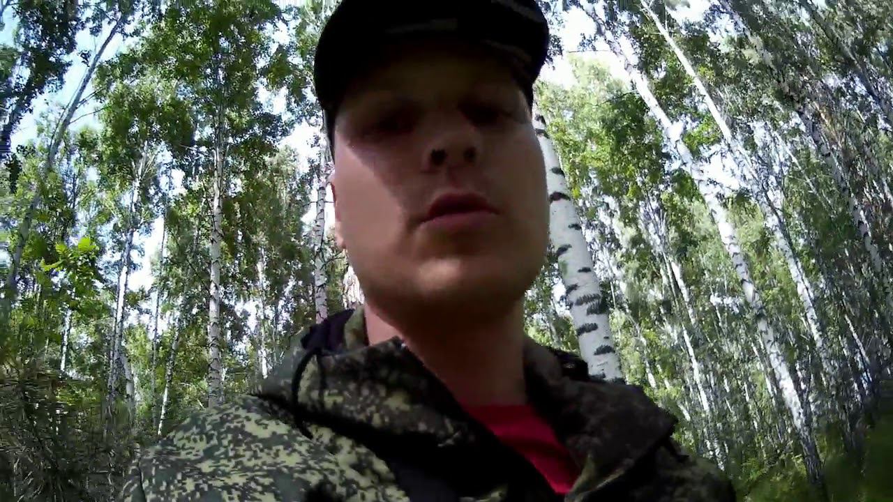 Прогулка по лесу. Грибы, земляника, природа. #NIK_72 смотреть онлайн