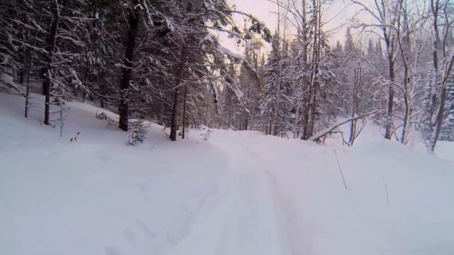 Снегоход Dingo T150, эксплуатация. ФВД - фэйлокатушка выходного дня, Колягино-Минжуль-НЕвидовка смотреть онлайн