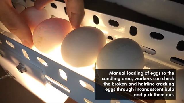 Eggcellent: Development of a Modular Egg Sorter and Counter Machine (Capstone Research) смотреть онлайн