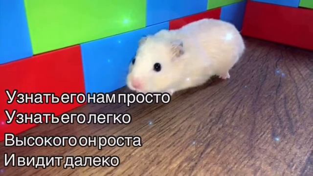 Загадки смотреть онлайн