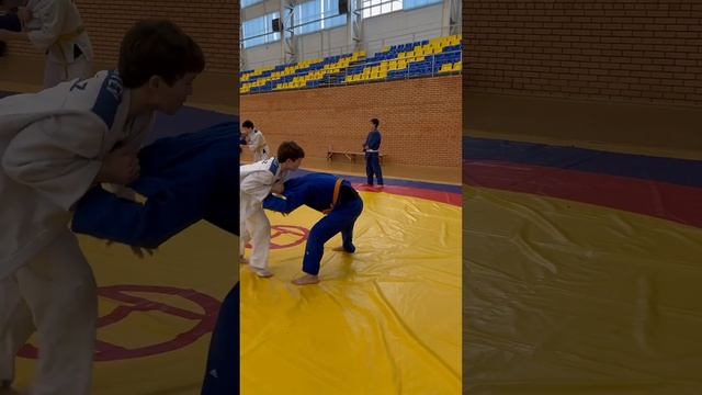 Тренировочный процесс, на сбора по дзюдо школа ORTUS.KZ, тренер Пак Сергей Александрович. смотреть онлайн