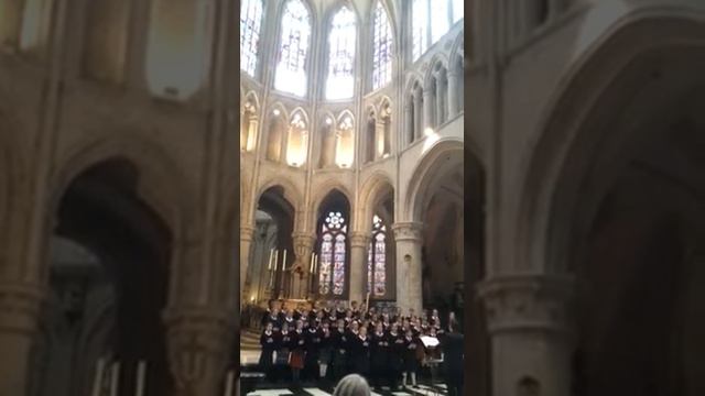 Fettes College Choir Tour 2015 - I am a small Part of the World - Brussels Cathedral смотреть онлайн