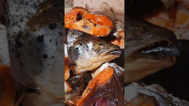 Вкусные традиции с Розой