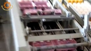 Производство яиц на птицефабрике