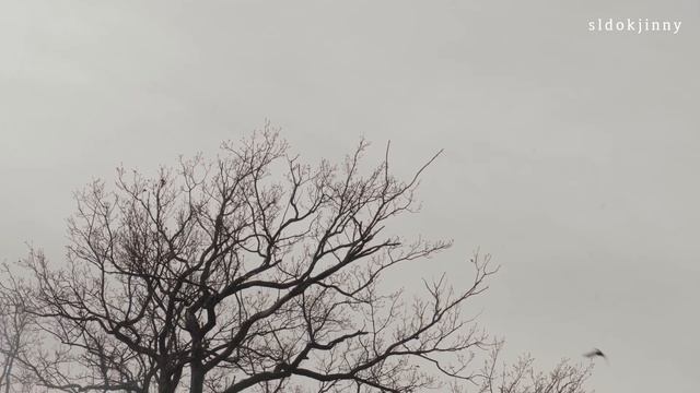 SUB)14년된식세기관리하는꿀팁/설거지줄이는팬케이크만들기/생일초코머핀/유리병활용/제로웨이스트 / 독일일상 смотреть онлайн