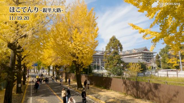 「秋麗（あきうらら）」『おやさと百景』(87) смотреть онлайн