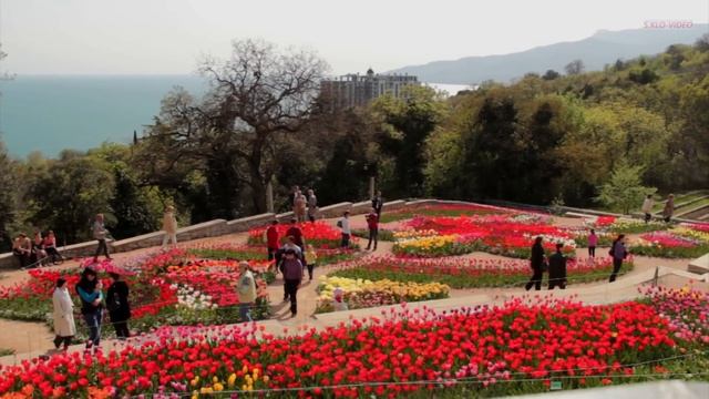 РАДУГА ВЕСНЫ смотреть онлайн