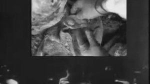 Вторая мировая день за днём 52